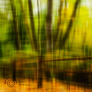 A Walk in Nature - Ultra modern photographic print